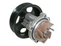 Alfa Romeo Punto Water Pump. Part Number 55272433