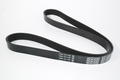 Alfa Romeo Auxiliary Belt. Part Number 504092340