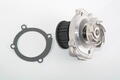 Alfa Romeo  Water Pump. Part Number 55184081