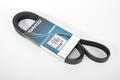 Alfa Romeo Auxiliary Belt. Part Number 55189680