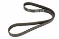 Alfa Romeo Doblo Auxiliary Belt. Part Number 55194752