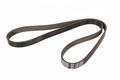 Alfa Romeo Tipo 2015 > Auxiliary Belt. Part Number 55202621