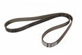 Alfa Romeo 500X Auxiliary Belt. Part Number 55202621