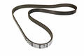 Alfa Romeo Tipo 2015 > Auxiliary Belt. Part Number 55232450