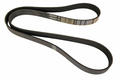 Alfa Romeo Tipo 2015 > Auxiliary Belt. Part Number 55251324
