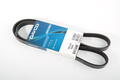 Alfa Romeo Auxiliary Belt. Part Number 55252302