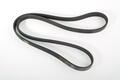 Alfa Romeo Auxiliary Belt. Part Number 55252302