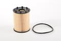 Fiat 500 Oil Filter. Part Number 6000633302