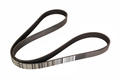 Alfa Romeo Bravo Auxiliary Belt. Part Number 71754366