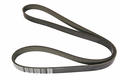 Alfa Romeo Bravo 2007> Auxiliary Belt. Part Number 71754366