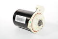Alfa Romeo Selespeed pump. Part Number 71769629