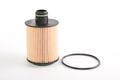 Alfa Romeo 500 Oil Filter. Part Number 71770689