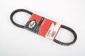 Alfa Romeo Coupe Auxiliary Belt. Part Number 7629235