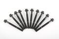 Alfa Romeo linea Head bolts. Part Number 7696197
